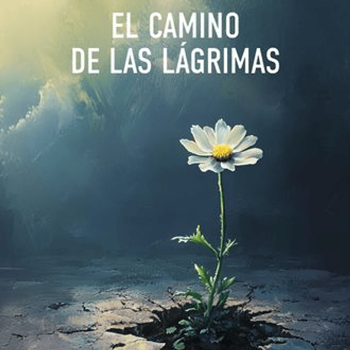 El Camino De Las Lagrimas 1