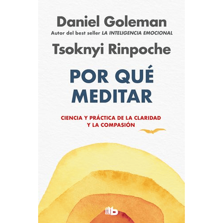 Por Que Meditar 1