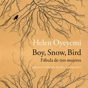 Boy, Snow, Bird