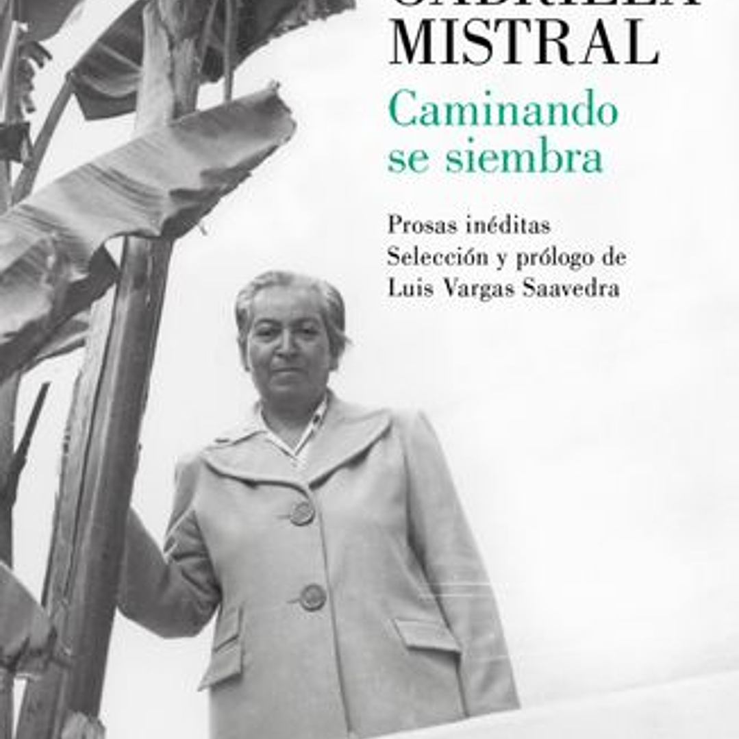 Caminando Se Siembra 1