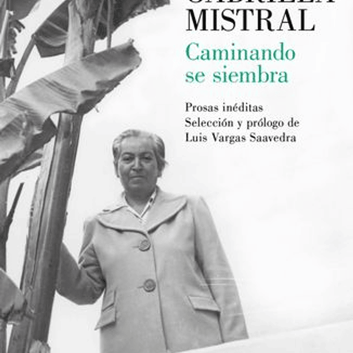 Caminando Se Siembra 1