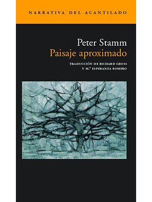 Paisaje Aproximado