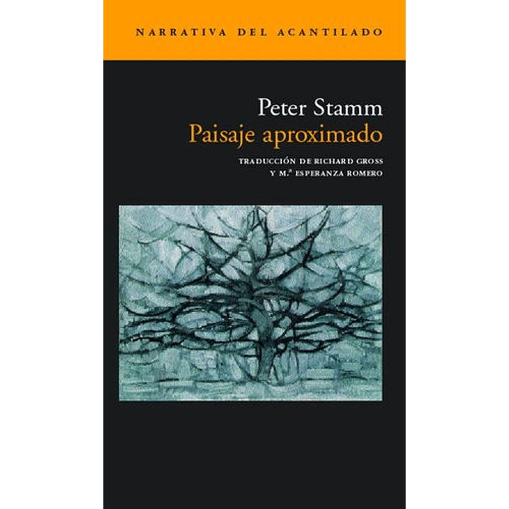 Paisaje Aproximado 1