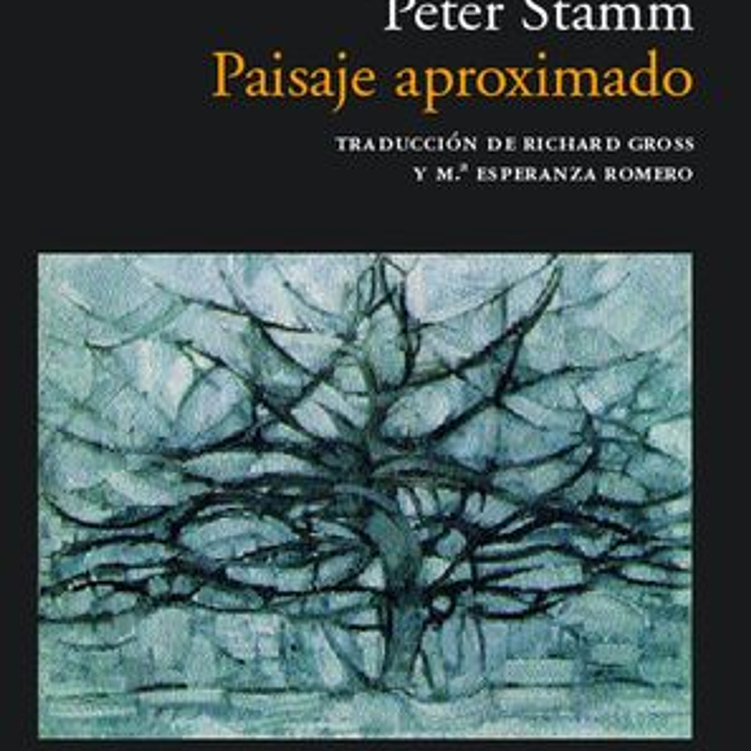 Paisaje Aproximado 1