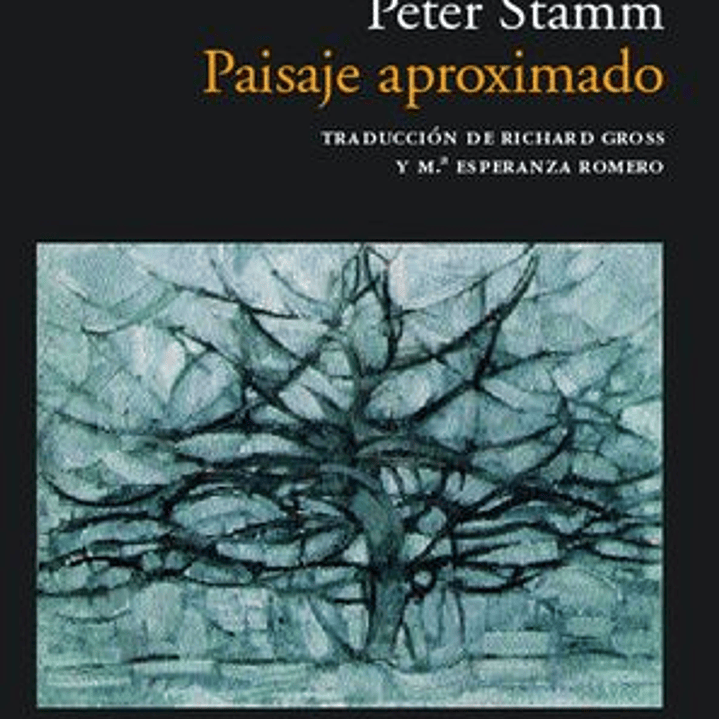 Paisaje Aproximado 1