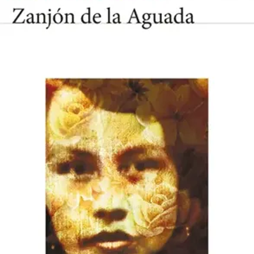 Zanjon De La Aguada 1