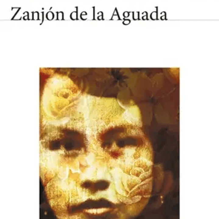 Zanjon De La Aguada 1