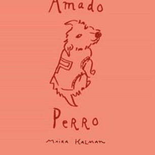Amado Perro