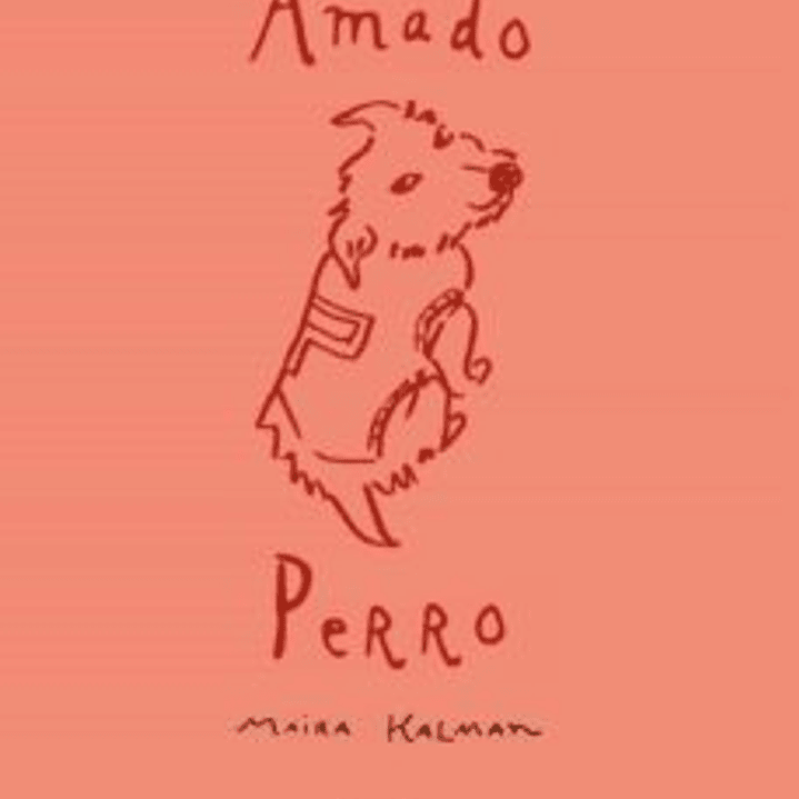 Amado Perro 1