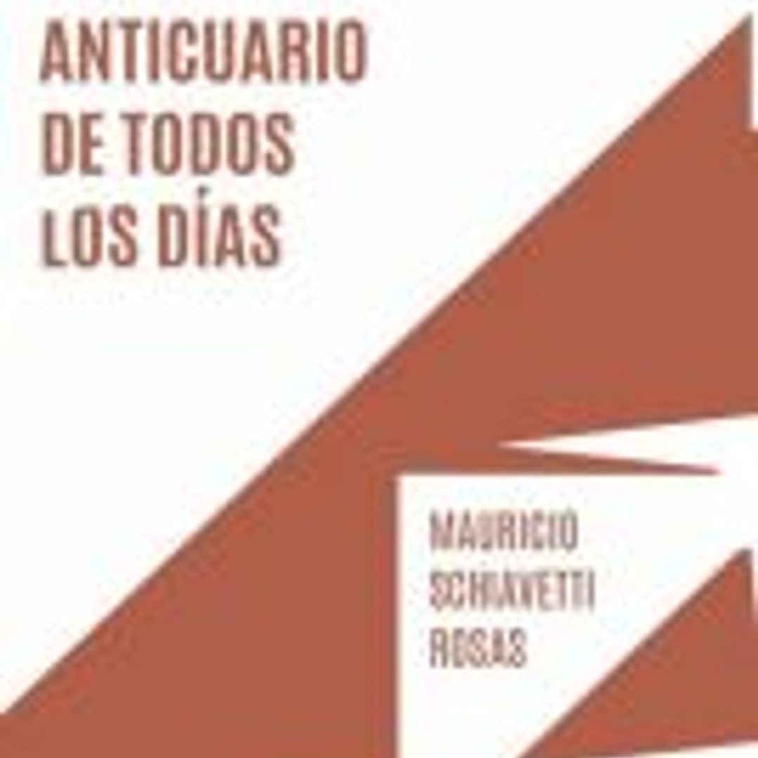 Anticuario De Todos Los Dias 1