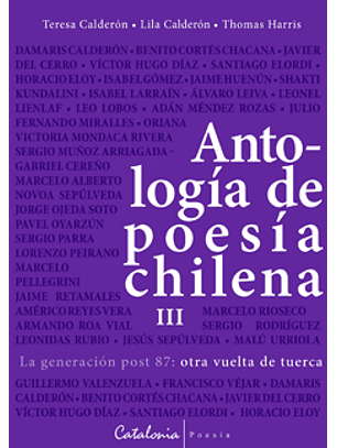 Antologia De Poesia Chilena Iii - La Generacion Post 87