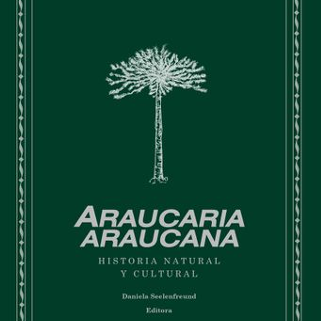 Araucaria Araucana 1