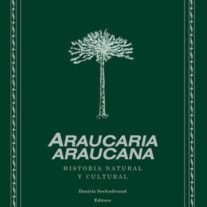 Araucaria Araucana 1