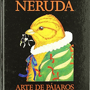 Arte De Pajaros