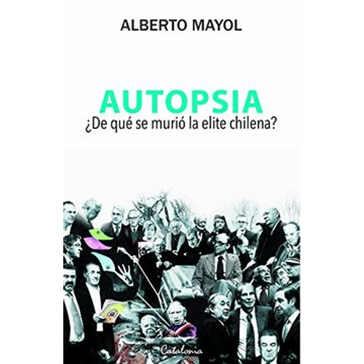 Autopsia De Que Murio La Elite Chilena 1