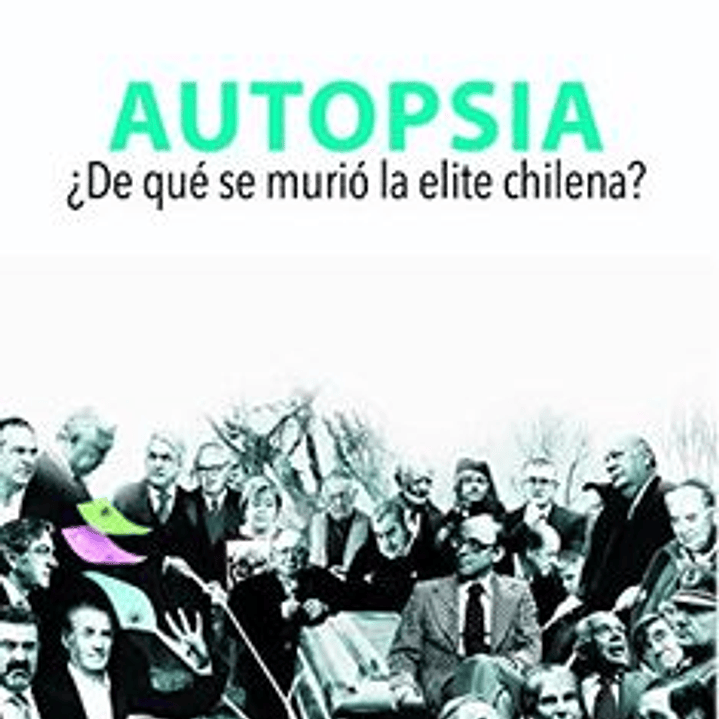 Autopsia De Que Murio La Elite Chilena 1