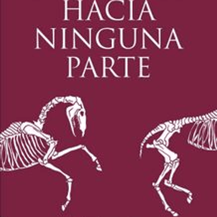 Carrera Hacia Ninguna Parte, La 1
