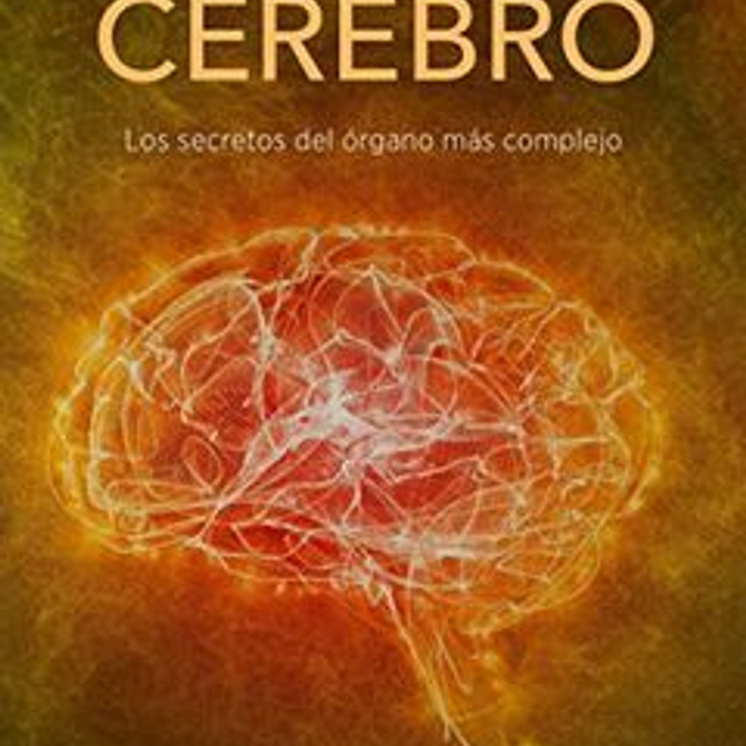 Cerebro 1