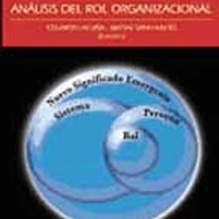 Coaching Analisis Del Rol Organizacional 1