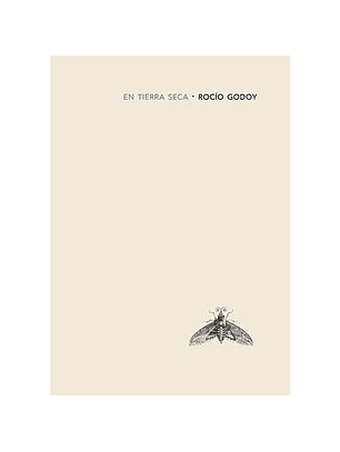 Contemplando La Luna