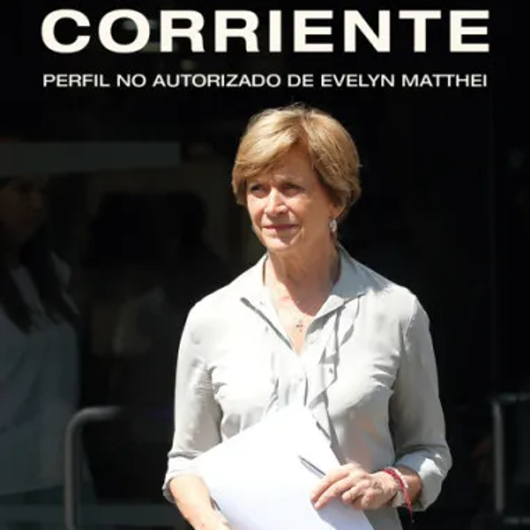 Contra La Corriente Perfil No Autorizado De Evelyn Matthei 1