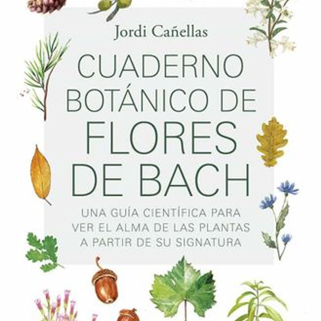 Cuaderno Botanico De Flores De Bach 1