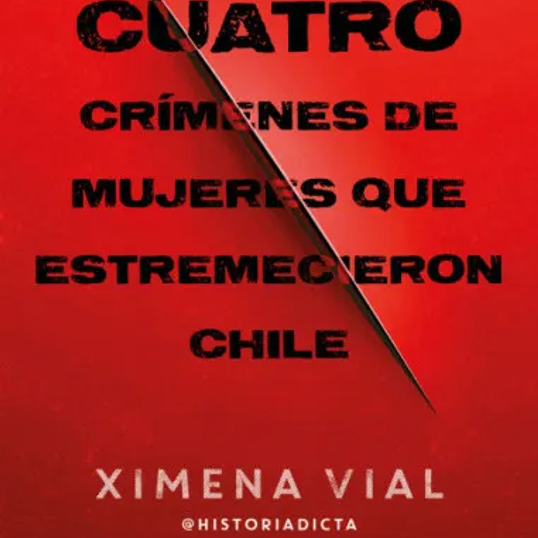 Cuatro Crimenes De Mujeres Que Estremecieron Chile 1
