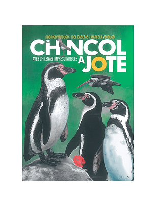 De Chincol A Jote. Aves Chilenas Imprescindibles