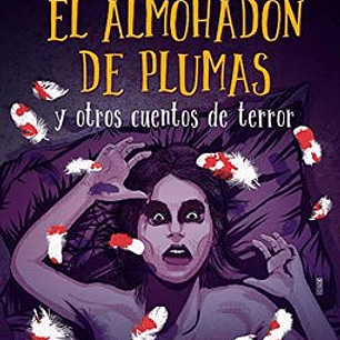 El Almohadon De Plumas