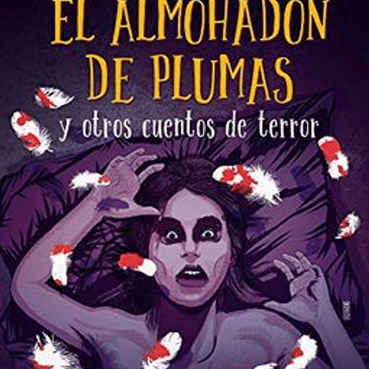 El Almohadon De Plumas 1