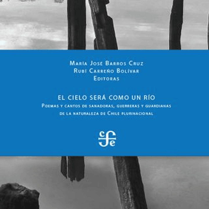 El Cielo Sera Como Un Rio - Poemas Y Cantos De Sanadoras Guerreras Y Guardianas 1