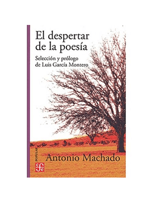 El Despertar De La Poesia