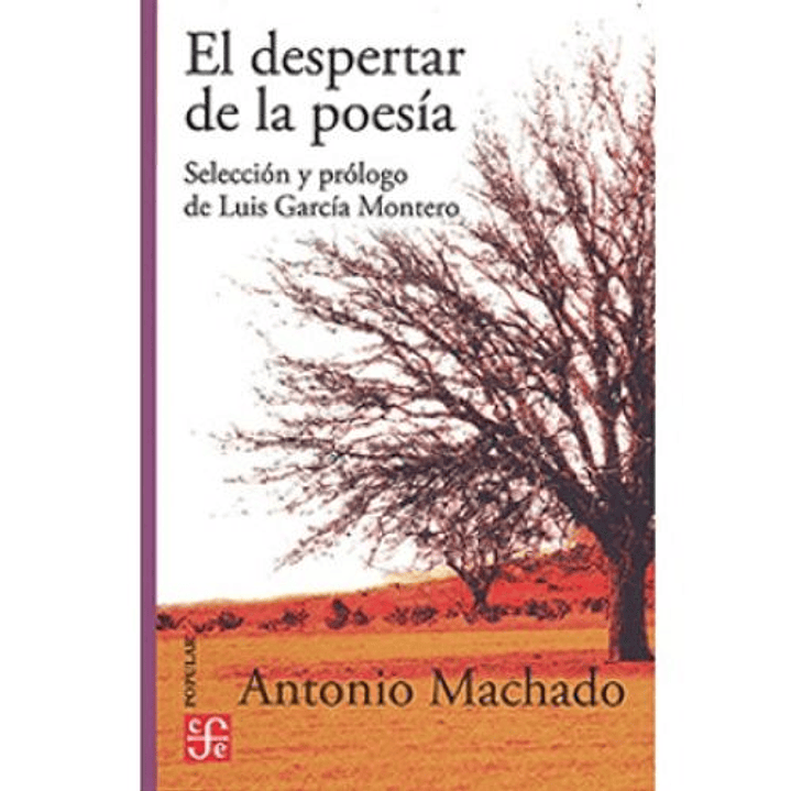 El Despertar De La Poesia 1
