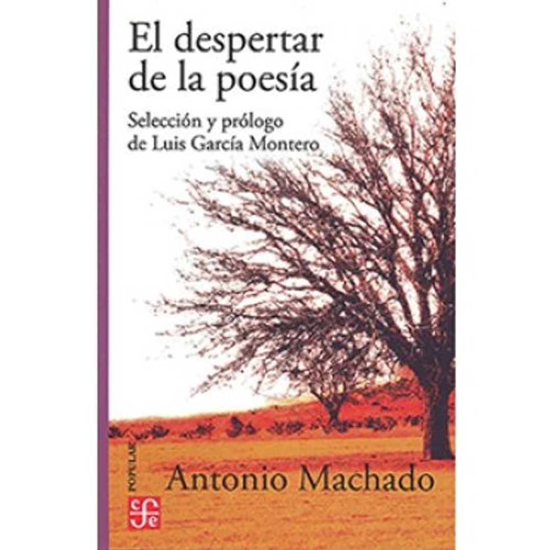 El Despertar De La Poesia 1