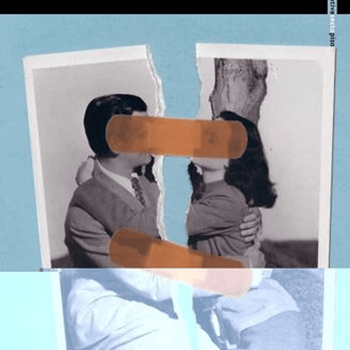 El Fin De La Novela De Amor 1