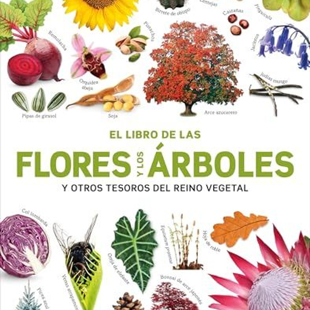 El Libro De Las Flores Y Los Arboles 1