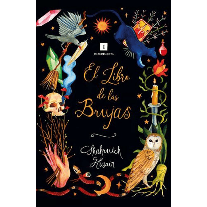 El Libro De Las Brujas 1