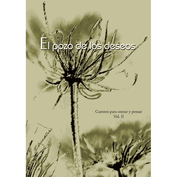 El Pozo De Los Deseos 1