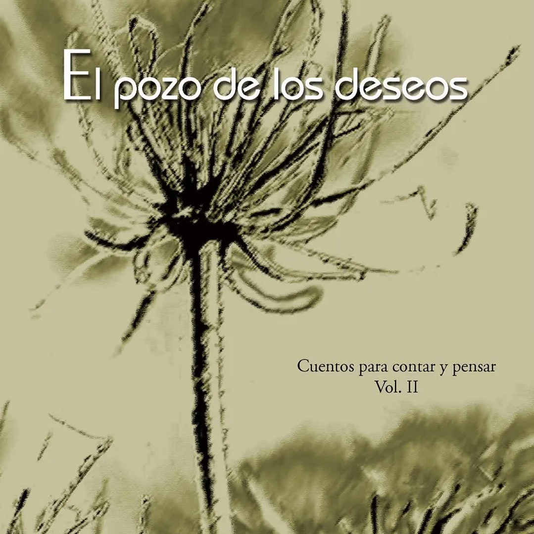 El Pozo De Los Deseos 1