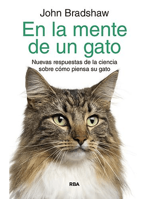 En La Mente De Un Gato