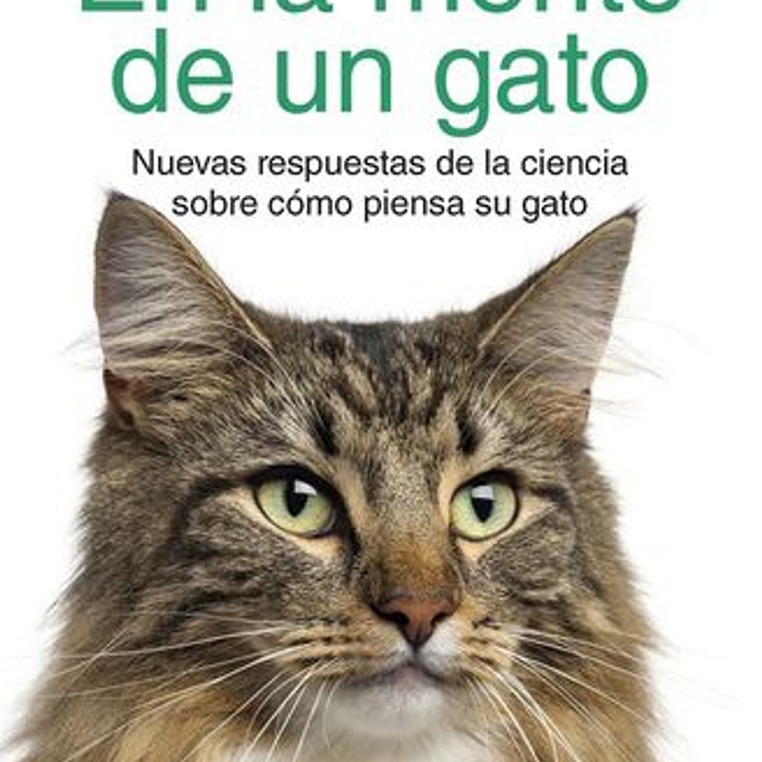 En La Mente De Un Gato 1