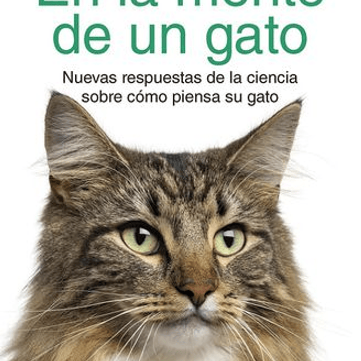 En La Mente De Un Gato 1
