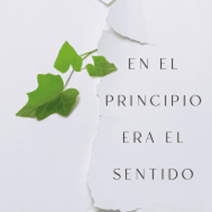 En El Principio Era El Sentido - Reflexiones En Torno Al Ser Humano 1