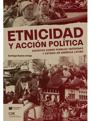 Etnicidad Y Accion Politica