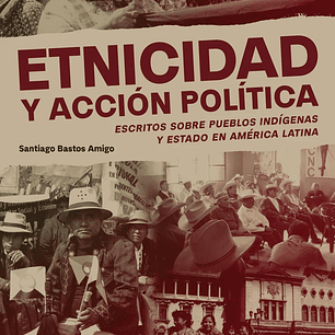 Etnicidad Y Accion Politica