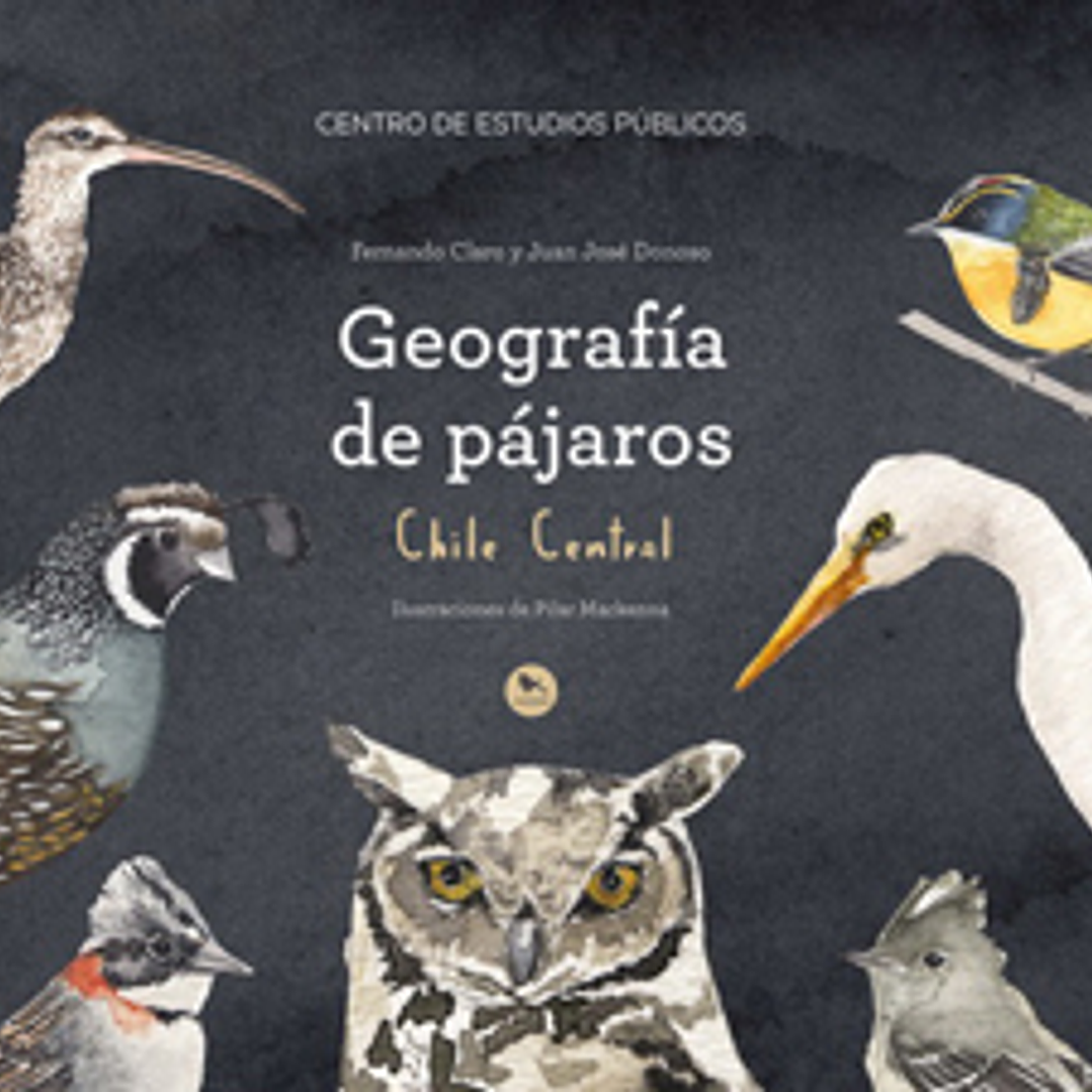 Geografia De Pajaros 1