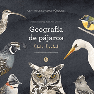 Geografia De Pajaros
