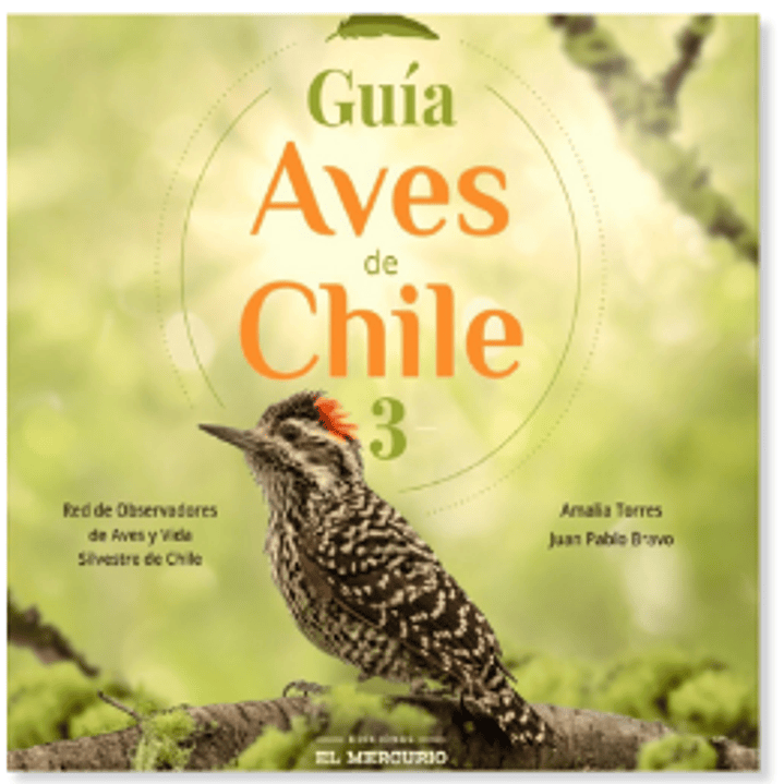 Guia Aves De Chile 3 1