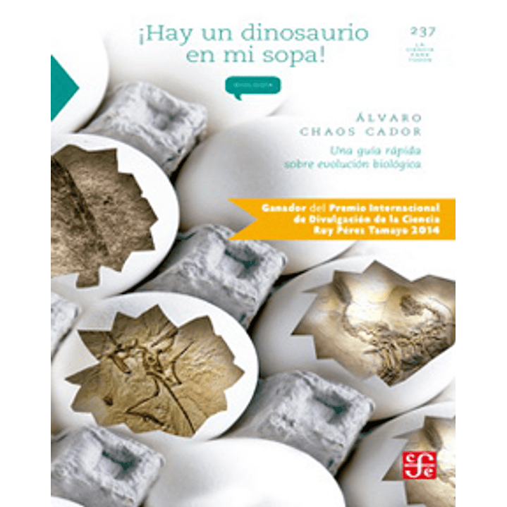 Hay Un Dinosaurio En Mi Sopa 1