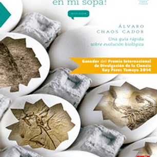 Hay Un Dinosaurio En Mi Sopa